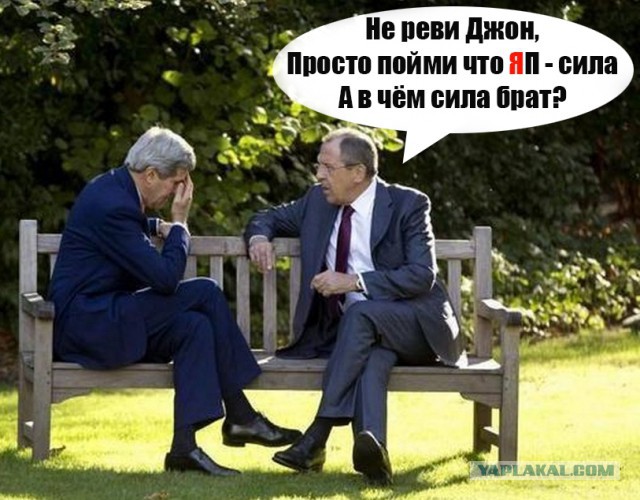 ЯП в Вести недели