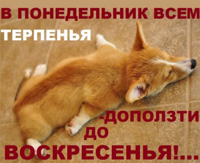 Депрессивный понедельник