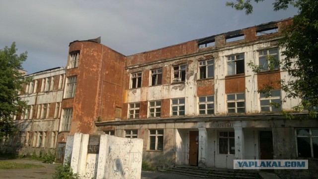 Репортаж из четырех гос. больниц Новосибирска
