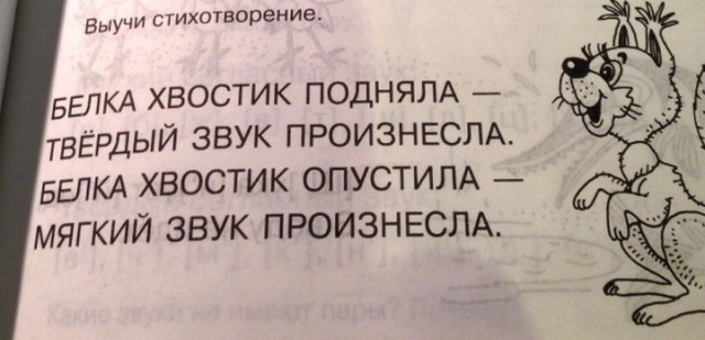 Белочка вот