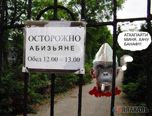 Осторожно, злая собака
