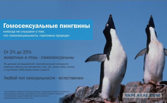Что может случится с УАЗ Патриот за 2.5 года и 75 000 км? А всё!