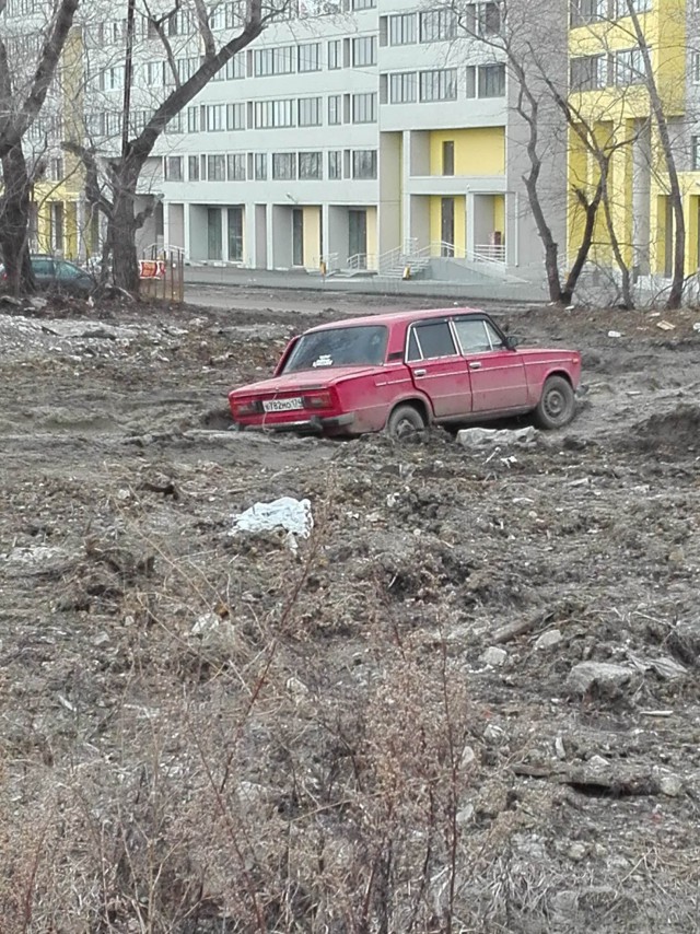Подборка прикольных и веселых картинок