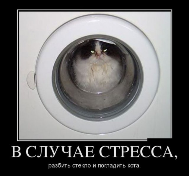 Злой медик - синдром выгорания и прочие байки