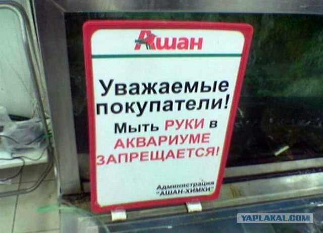 Подборка интересных и веселых картинок