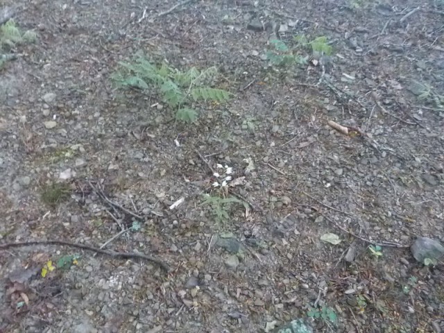 По дороге с облаками