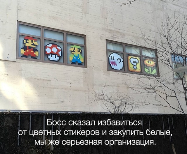 20 доказательств, что работа не волк, в лес не убежит