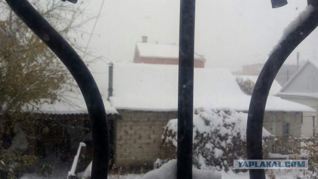 Давно такой погоды не видел в октябре