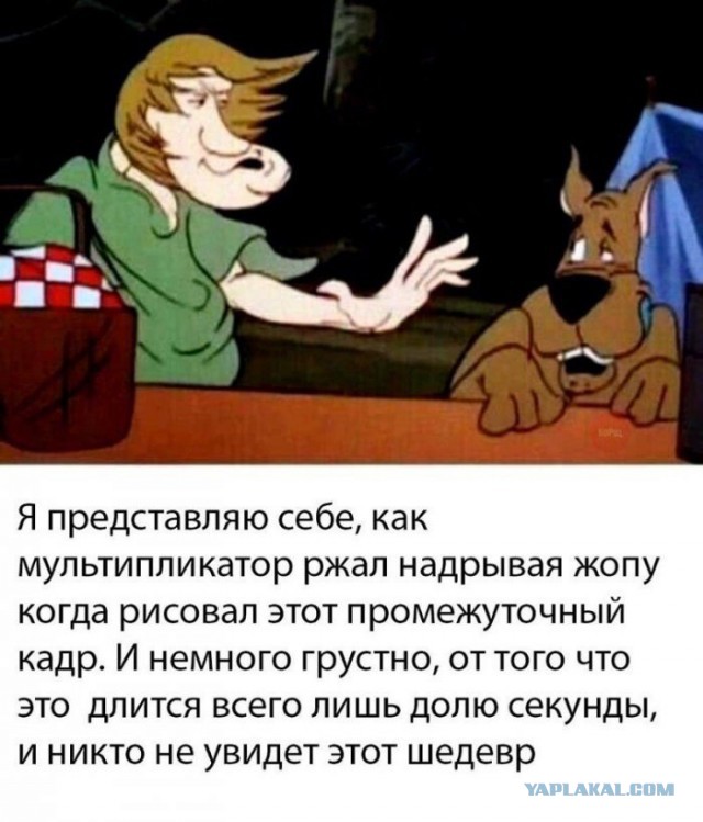 Смешные комментарии из социальных сетей 13.04.2018