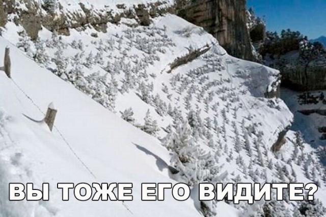 Подборка интересных и веселых картинок