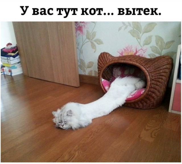 Немного картинок в этот четверг
