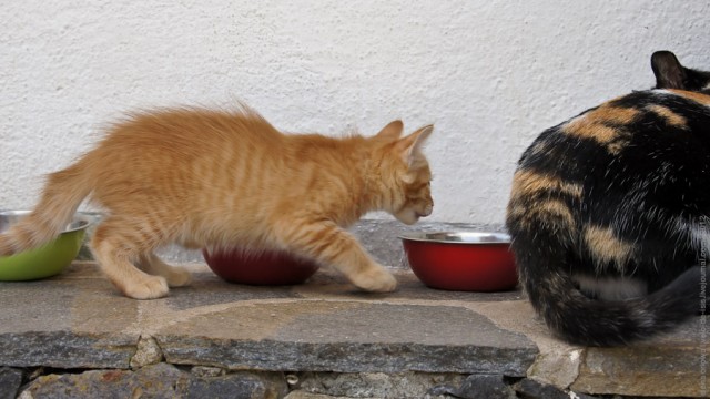 Один мой день. Самый первый!