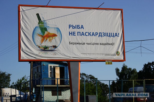 Примеры отличной социальной рекламы
