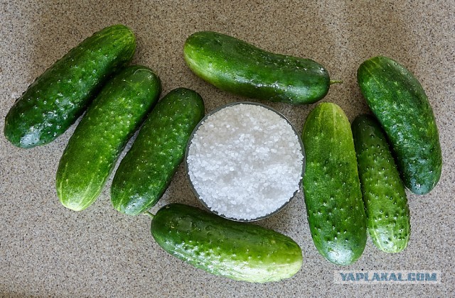 Огурцы малосольные по-корейски // Ои Cобаги // Кимчи из огурцов