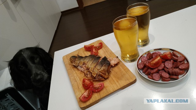 Пивные кружки