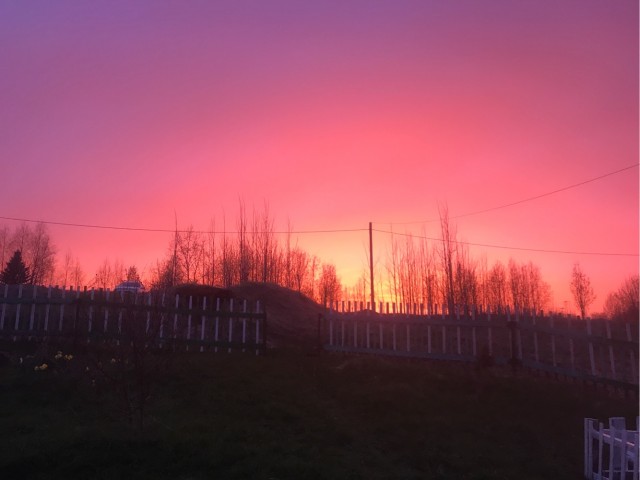 Со своих рыбалок, лето 2019