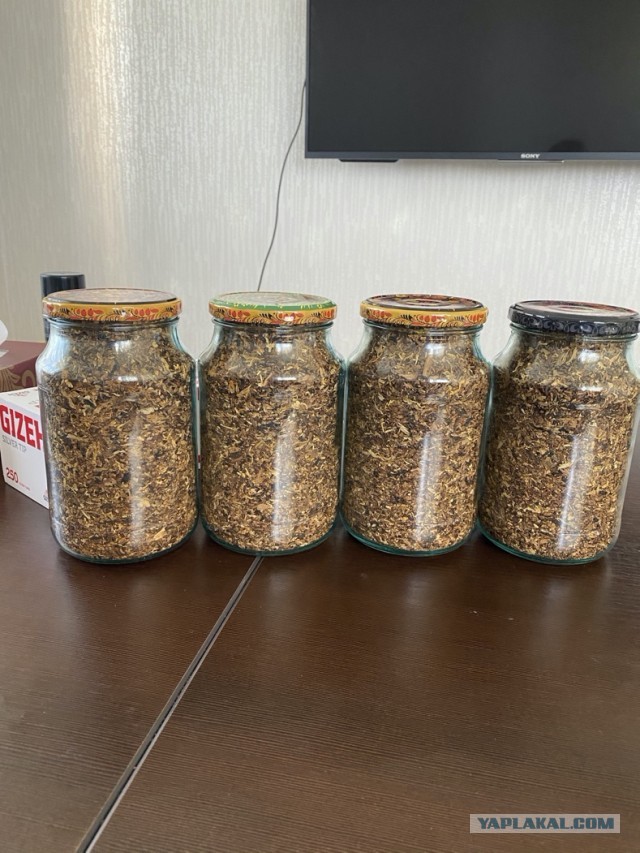 Пачка сигарет из натурального развесного табака стоит всего 36 рублей.