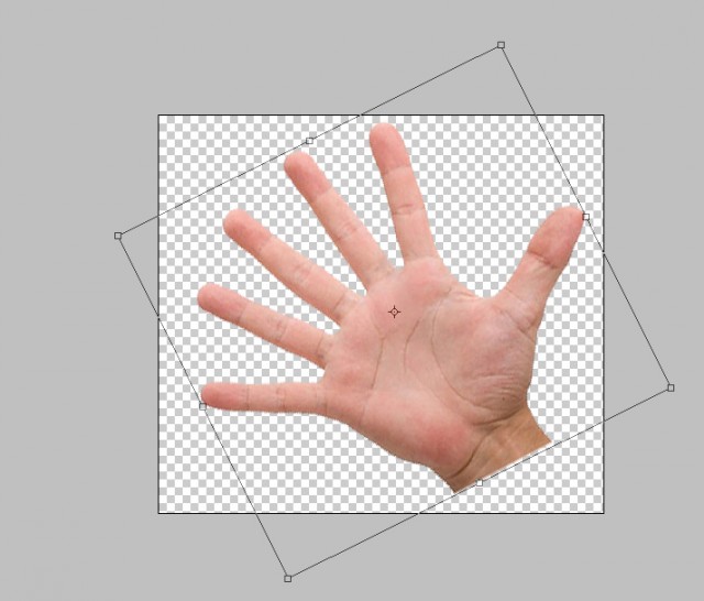 Школа Фотожабы