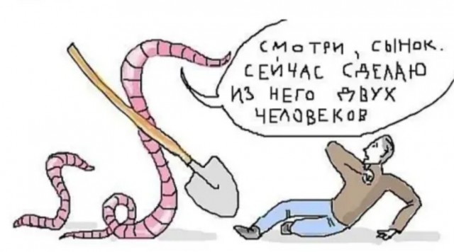 Бредзона 29.08.20