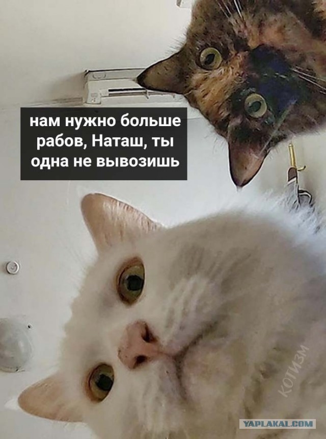 Наташа, делись