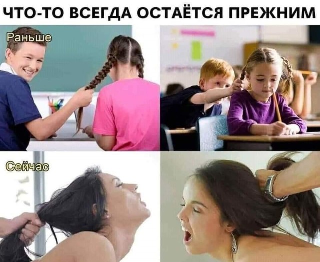 Веселые истории о нас №237