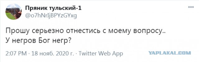 Бредзона 22.11.20