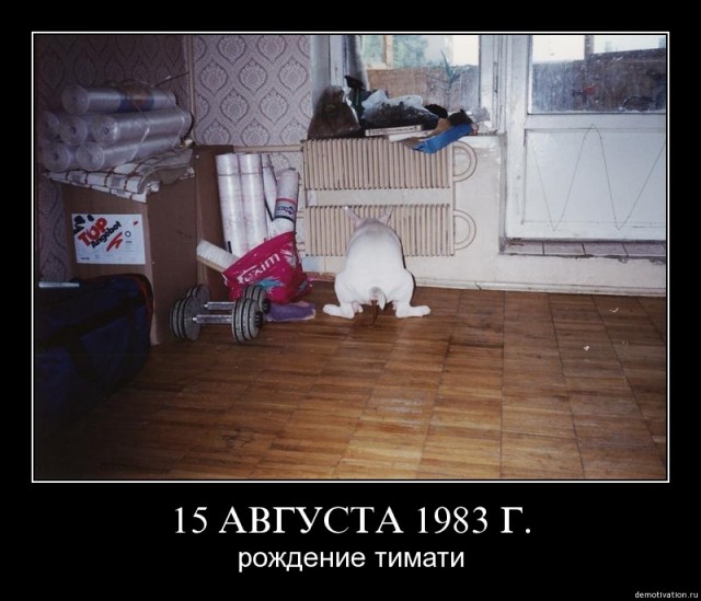 Фотожаба: Фанатка Тимати