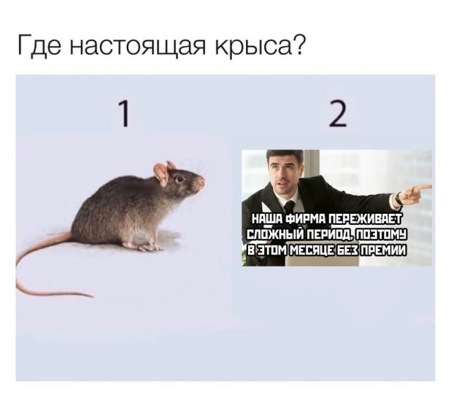 Смешные картинки