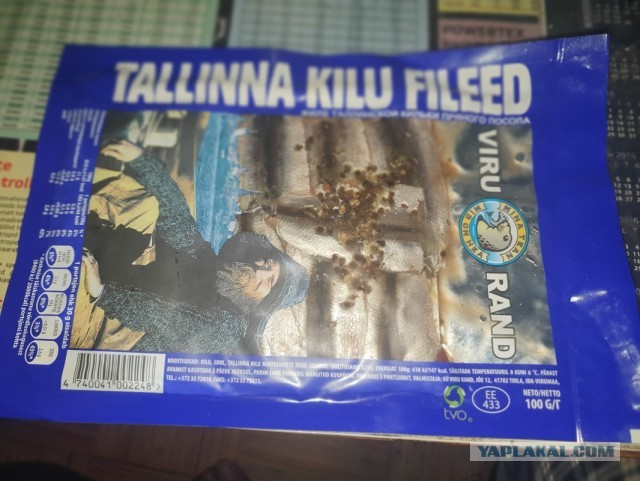 Килька: Селёдка, ставшая культовой в СССР. Её ловят по 600 тысяч тонн в год, а она не кончается. Как так?