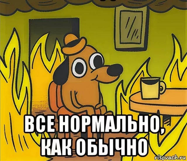 Весёлый полтишок 2.06.2021
