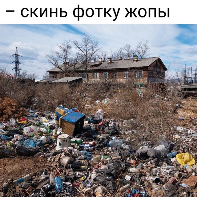 Весёлый полтишок 31.08