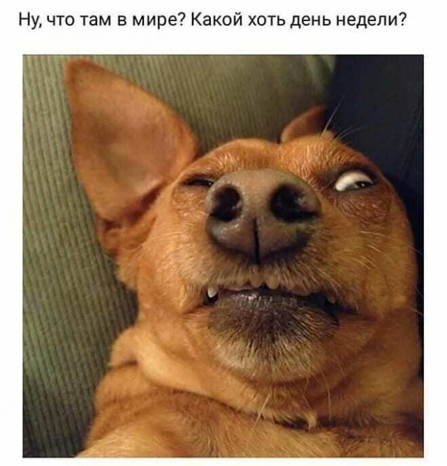Картинки и мемы 08.10.2021