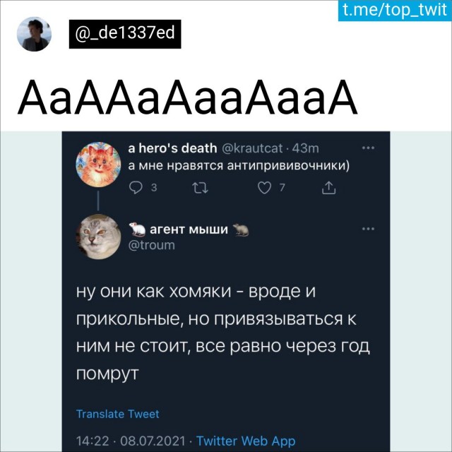 Баянисто-небаянистый юмор 9.11.21