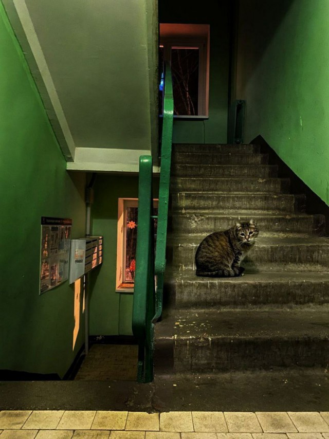 Котовторниковское