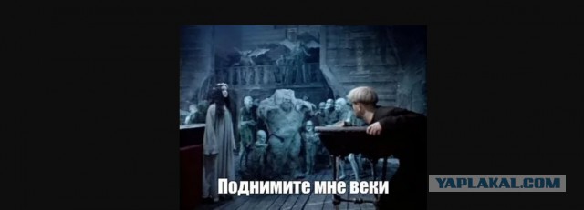 Вольфыч, просыпайся уже