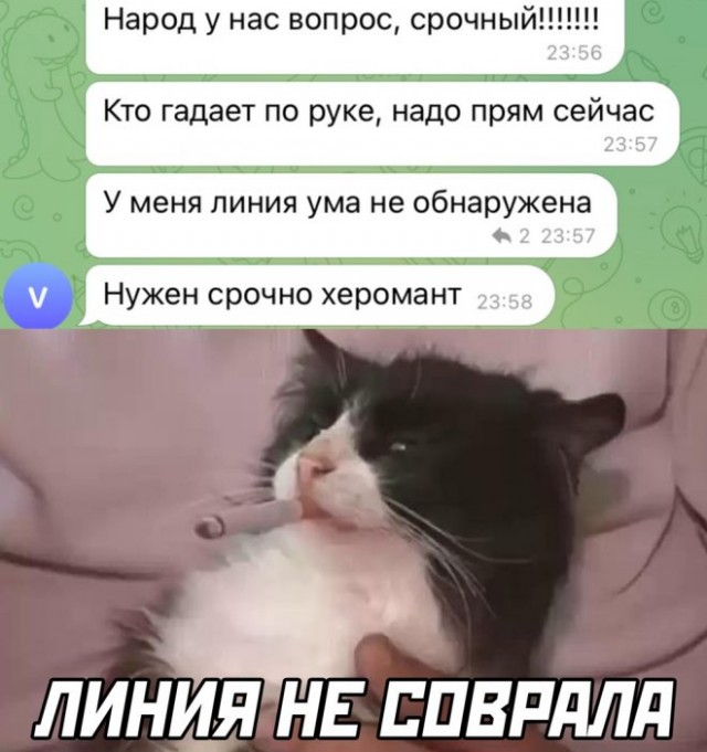 Картинки и мемы для настроения - 25