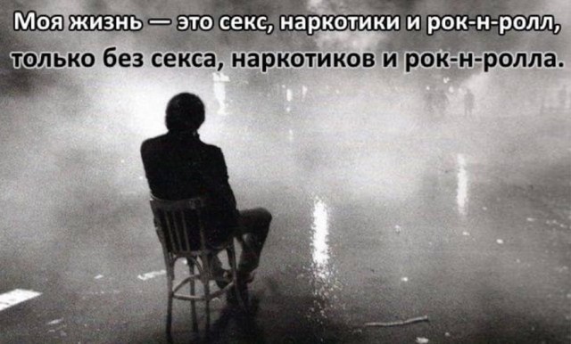 Весёлый полтишок 24.05.22