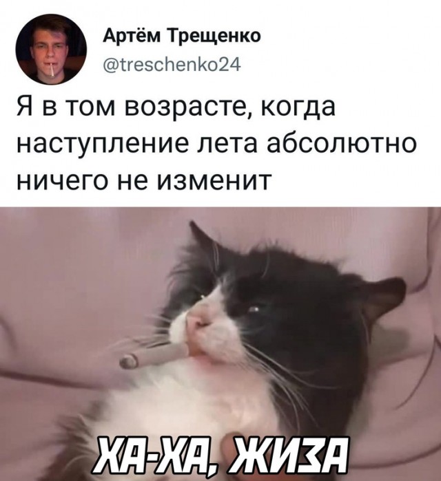 Весёлый полтишок 03.06.22