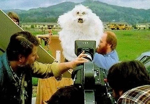 Околозвездный ностальгический фотоальбом