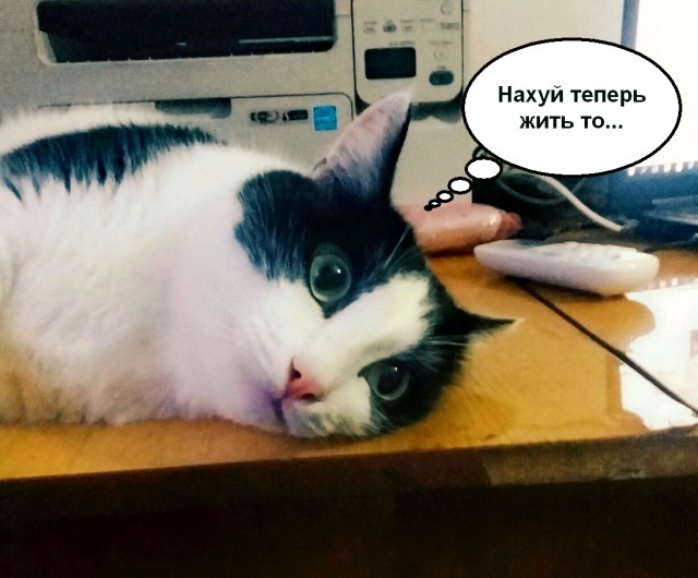 Муж загулял...