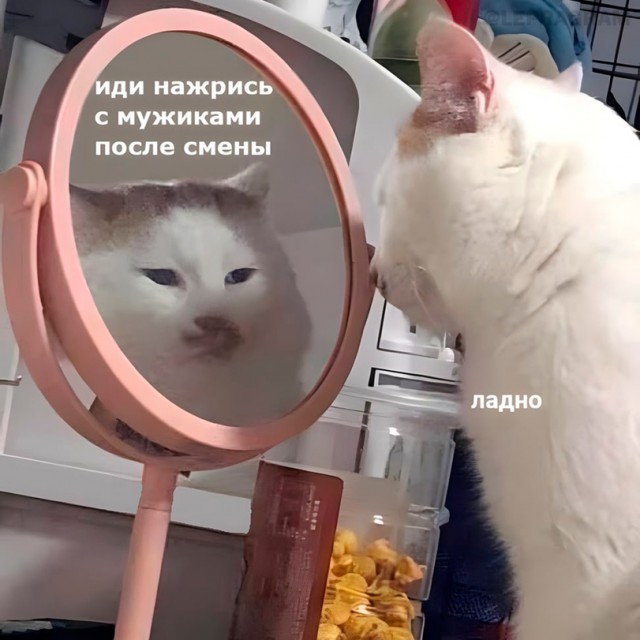 Юмор из Сети 20.06.22