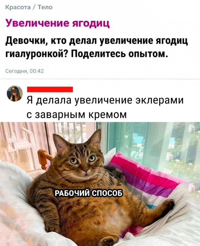 Так себе картинки 25.07.22