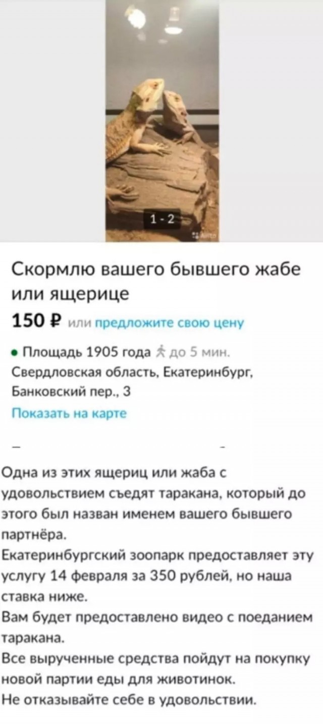 Так себе картинки 26.07.22