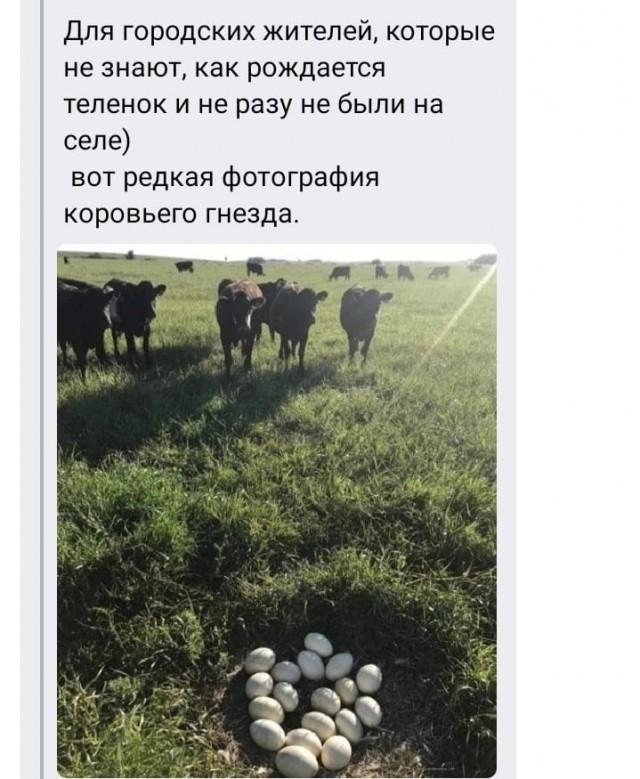 Скриншоты и комментарии из социальных сетей 3.08.22