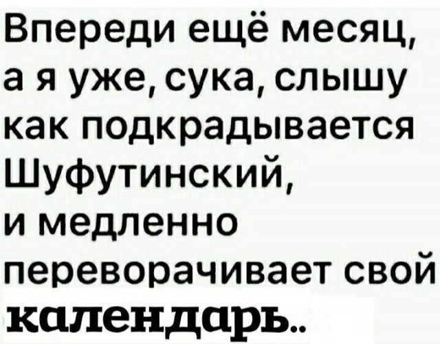 17036913.jpg