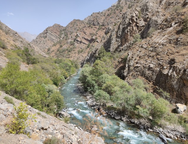 На Алтае, на лошадях и в ужасе⁠⁠