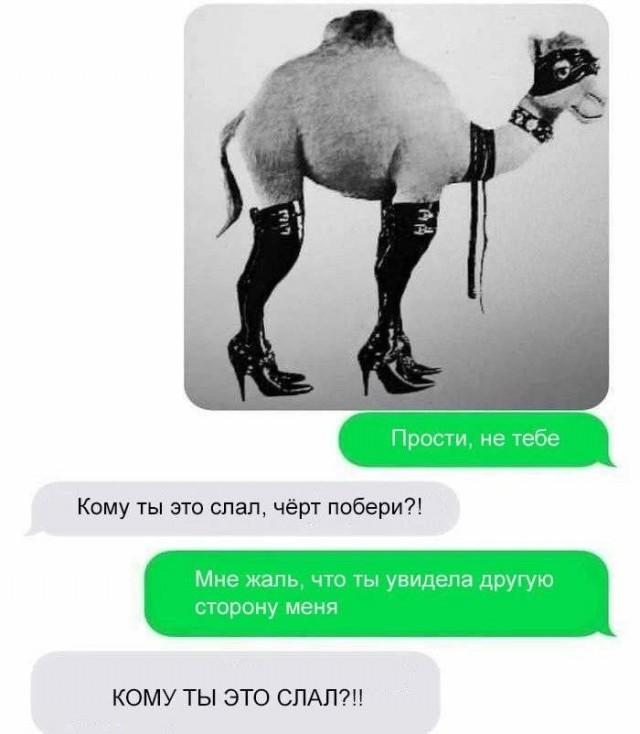 Картинки аморальные и всякие разные - 40