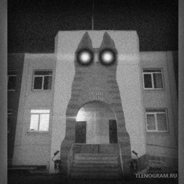 В Челябинске появился не спящий кот