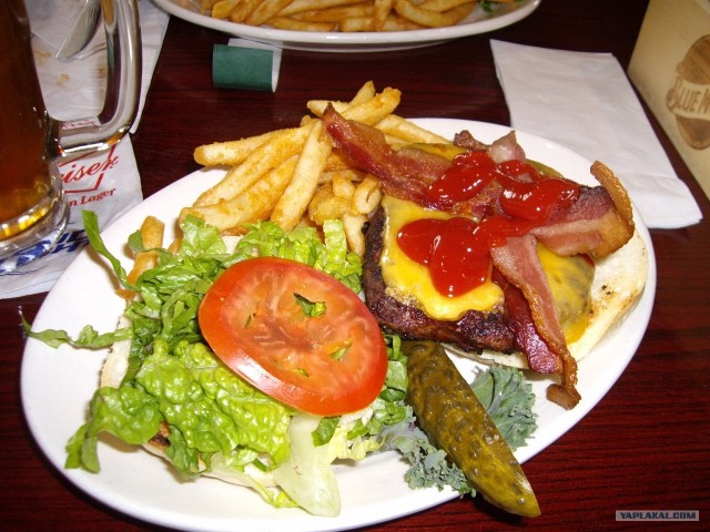 В поисках гамбургера..