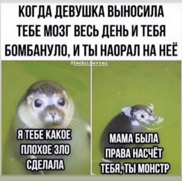Порешал на берегу все вопросы